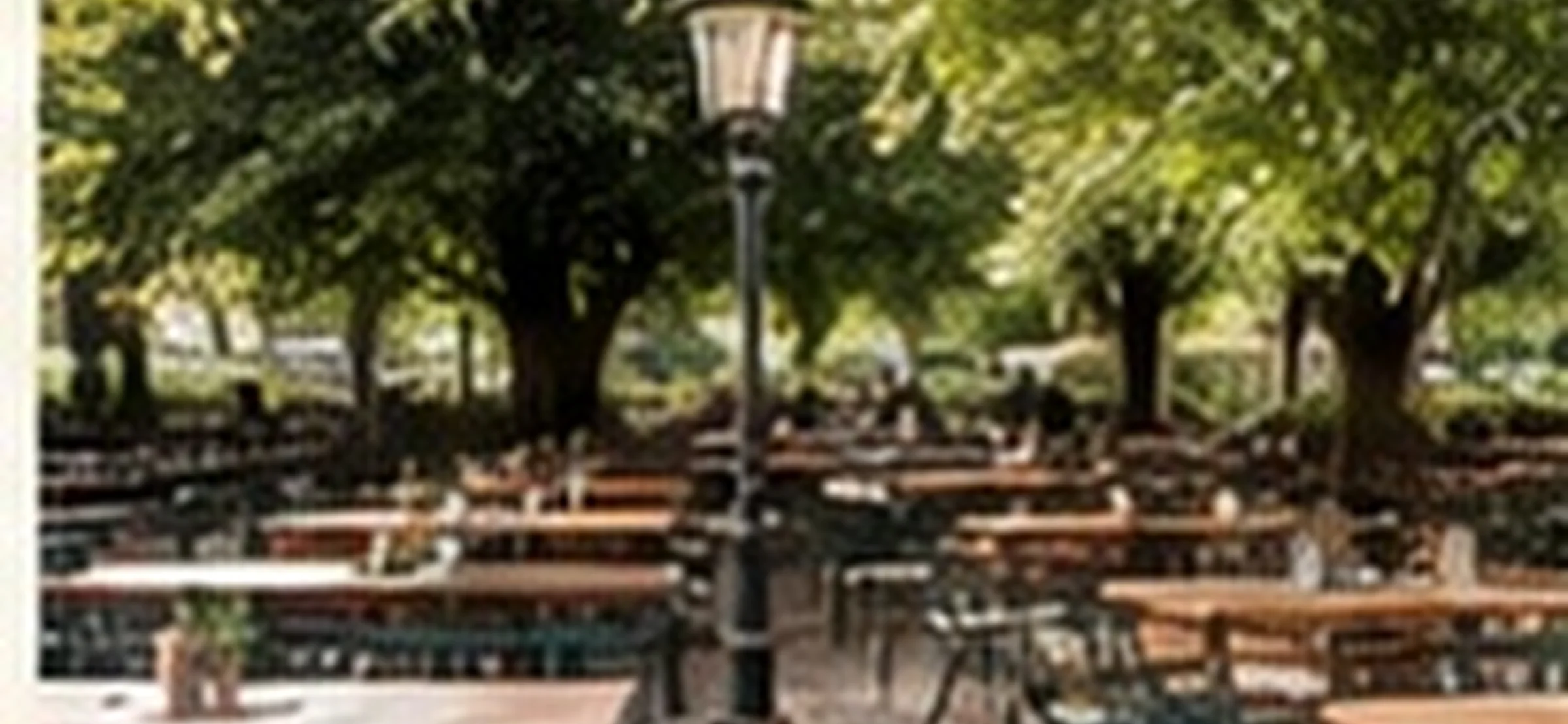 Impression aus dem Biergarten, Bild 3